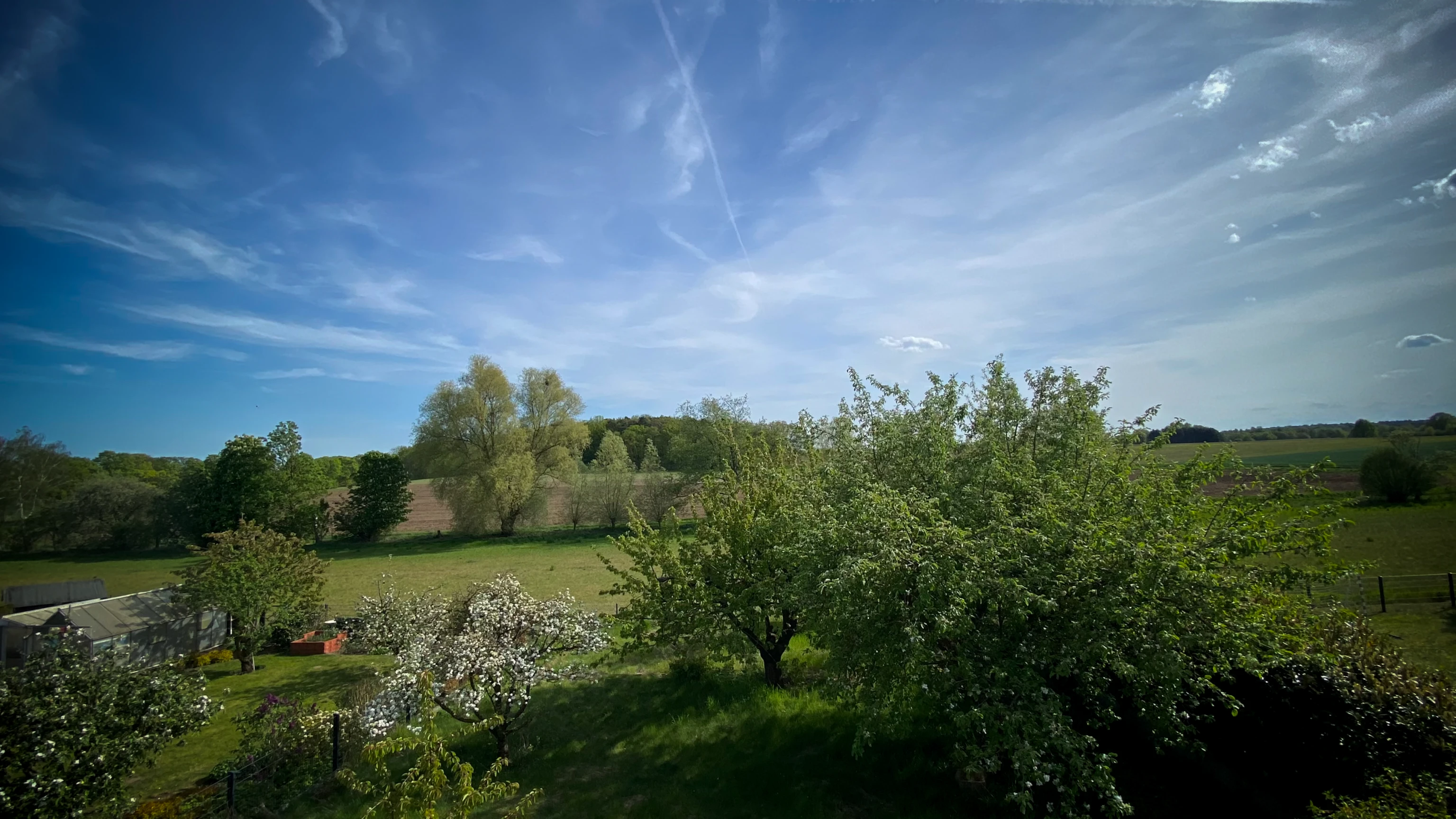 Feldblick